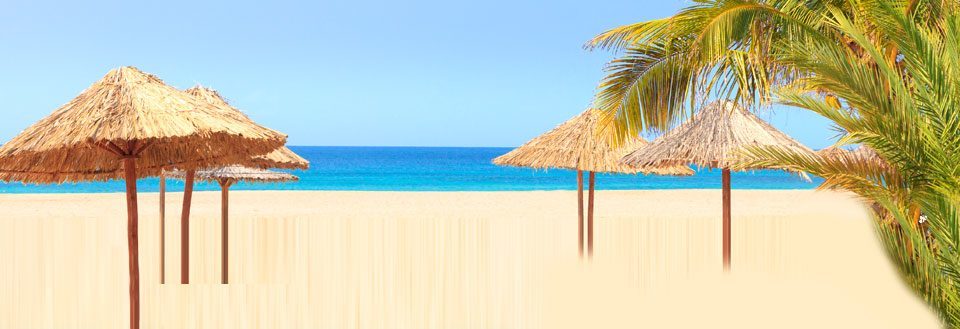 Bilde av en rolig strand med klarblått vann, gylden sandstrand, stråparasoller og en grønn palme.