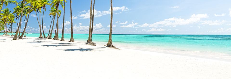 Bildet skildrer en tropisk strand med hvit sand og klart turkis vann, omkranset av høye palmetrær under en klar himmel.