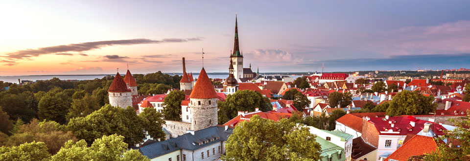 Panoramautsikt over  Tallinn med røde tak, spir og tårn under kveldshimmelen.