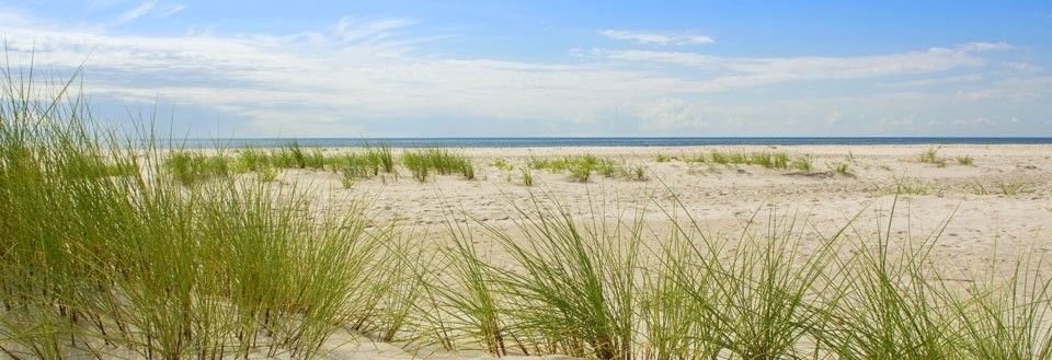 En rolig strand med lys sand og grønne gress. Klar blå himmel møter horisontlinjen.