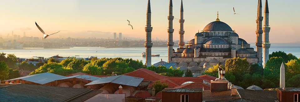 Soloppgang over Istanbul med den blå moské og minareter, mot et havutsikt og svevende måker.