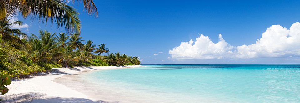 En fredelig strand med hvit sand, azurblått hav og grønne palmer under en solrik himmel.