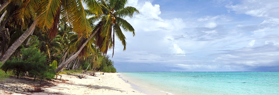 Tropisk strand flankert av palmer, under en klar blå himmel ved et stille turkis hav.